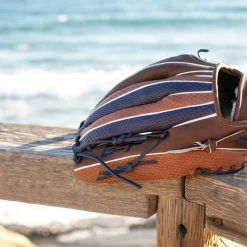 Gazebo Parts Direct Sales Store 21 GS Sports Pro Series 14" Dual Post Ball Glove - Brown / Navy Snakeskin Ball Gloves